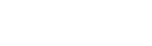 logoPreciso